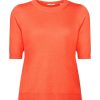 Esprit Esprit Kurzarmliger Pullover, Baumwollmix Orange S23 043Ee1I313 E870 Coral Oran Pullover